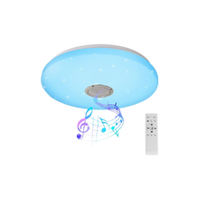 Carica l'immagine nel visualizzatore di Gallery, lampada-soffitto