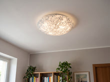 Carica l'immagine nel visualizzatore di Gallery, Plafoniera da Soffitto a Led in vetro Satinato
