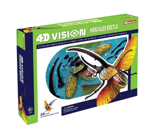 modello-anatomico-Hercules-Beetle-4D